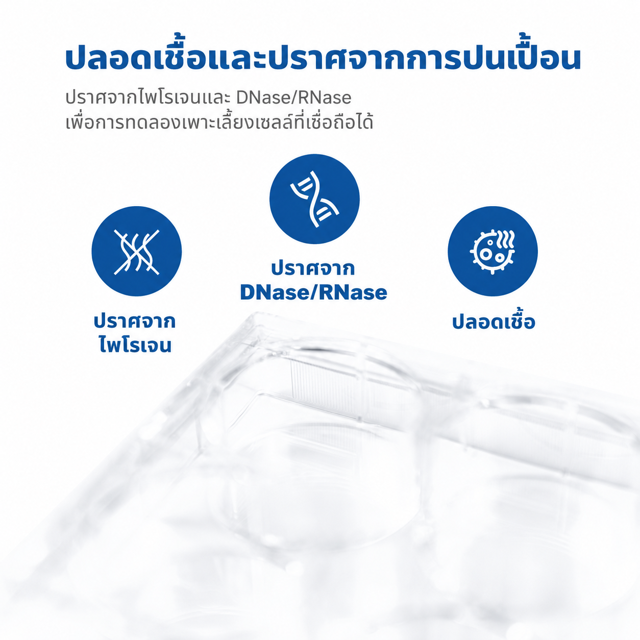 [Copy]Đĩa nuôi cấy tế bào vô trùng 6 & 96 giếng | Nhựa Polystyrene (PS) xử lý bề mặt nuôi cấy mô, không chứa DNase/RNase, dùng cho nuôi cấy tế bào & nghiên cứu trong phòng thí nghiệm