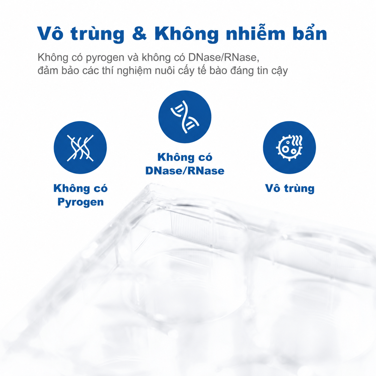 Đĩa nuôi cấy tế bào vô trùng 6 & 96 giếng | Nhựa Polystyrene (PS) xử lý bề mặt nuôi cấy mô, không chứa DNase/RNase, dùng cho nuôi cấy tế bào & nghiên cứu trong phòng thí nghiệm