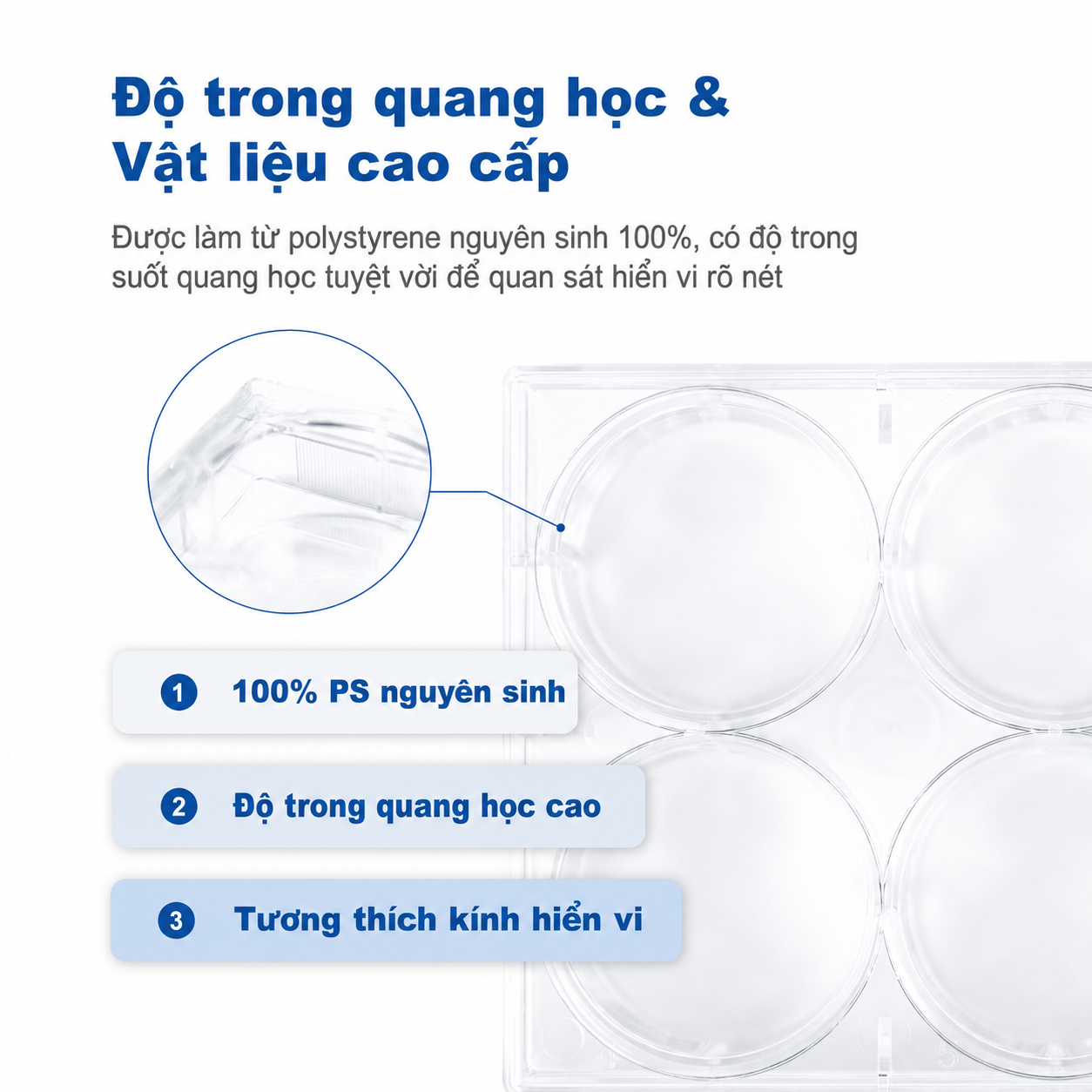 Đĩa nuôi cấy tế bào vô trùng 6 & 96 giếng | Nhựa Polystyrene (PS) xử lý bề mặt nuôi cấy mô, không chứa DNase/RNase, dùng cho nuôi cấy tế bào & nghiên cứu trong phòng thí nghiệm