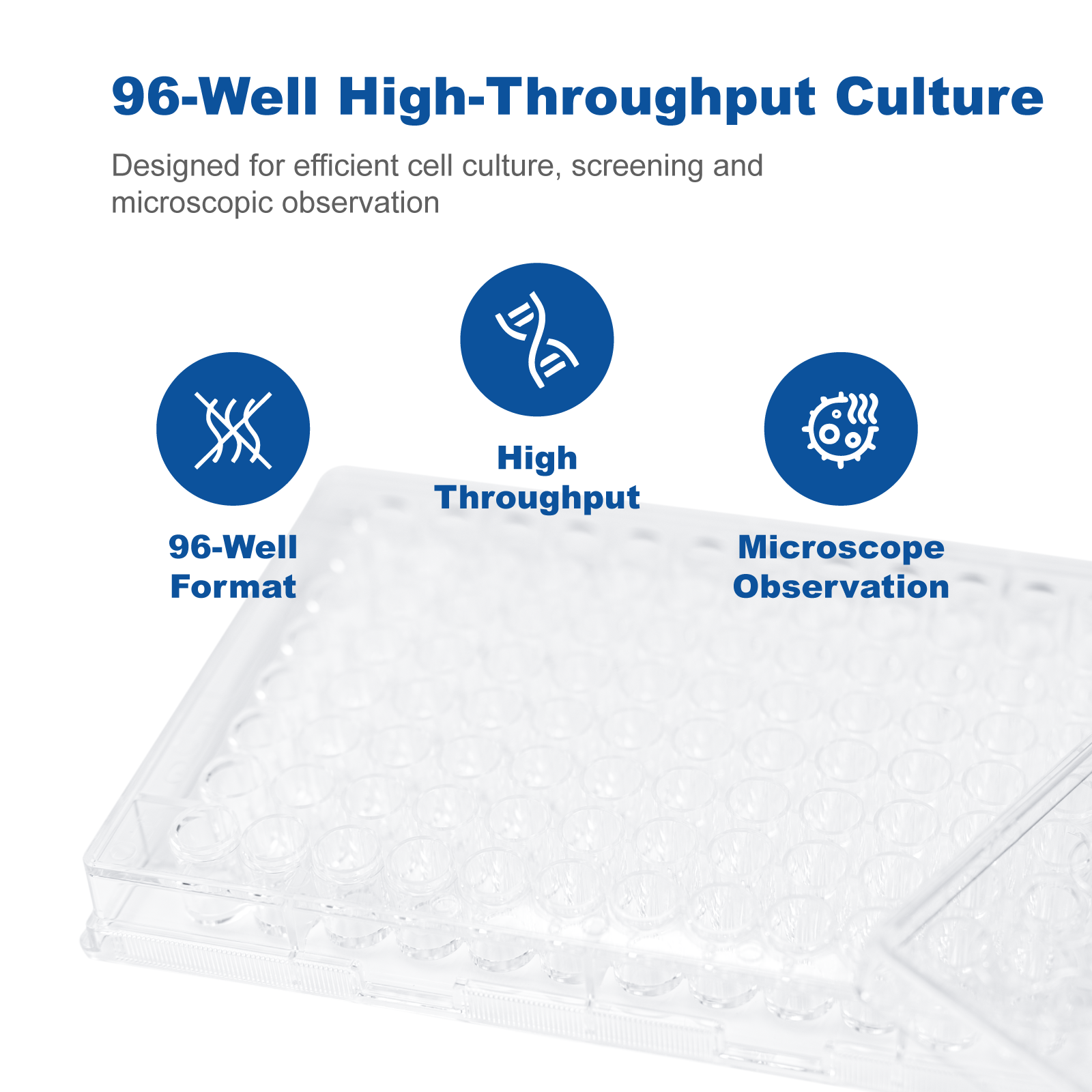 Sterile Cell Culture Plates 6&96 Well | Tissue Culture Treated Polystyrene (PS), DNase RNase Free Lab Plates for Cell Culture & Research