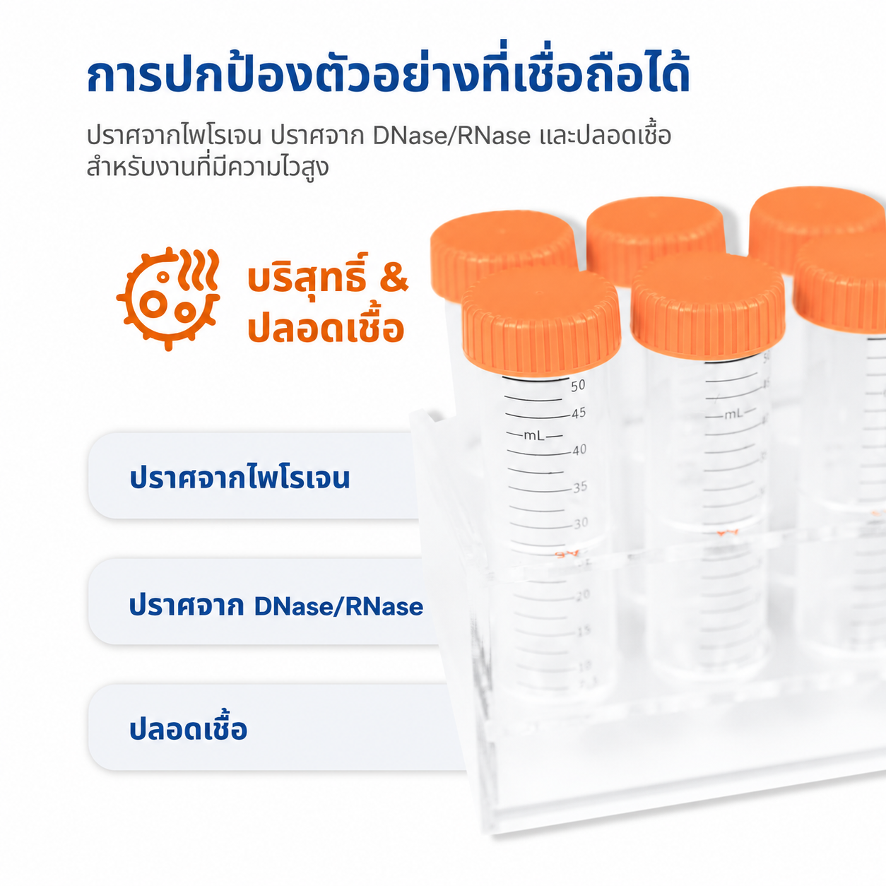 หลอดปั่นเหวี่ยงทรงกรวยปลอดเชื้อ 15 mL และ 50 mL | PP มีสเกล ปราศจาก DNase/RNase