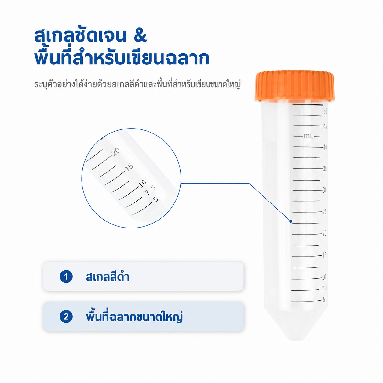 หลอดปั่นเหวี่ยงทรงกรวยปลอดเชื้อ 15 mL และ 50 mL | PP มีสเกล ปราศจาก DNase/RNase