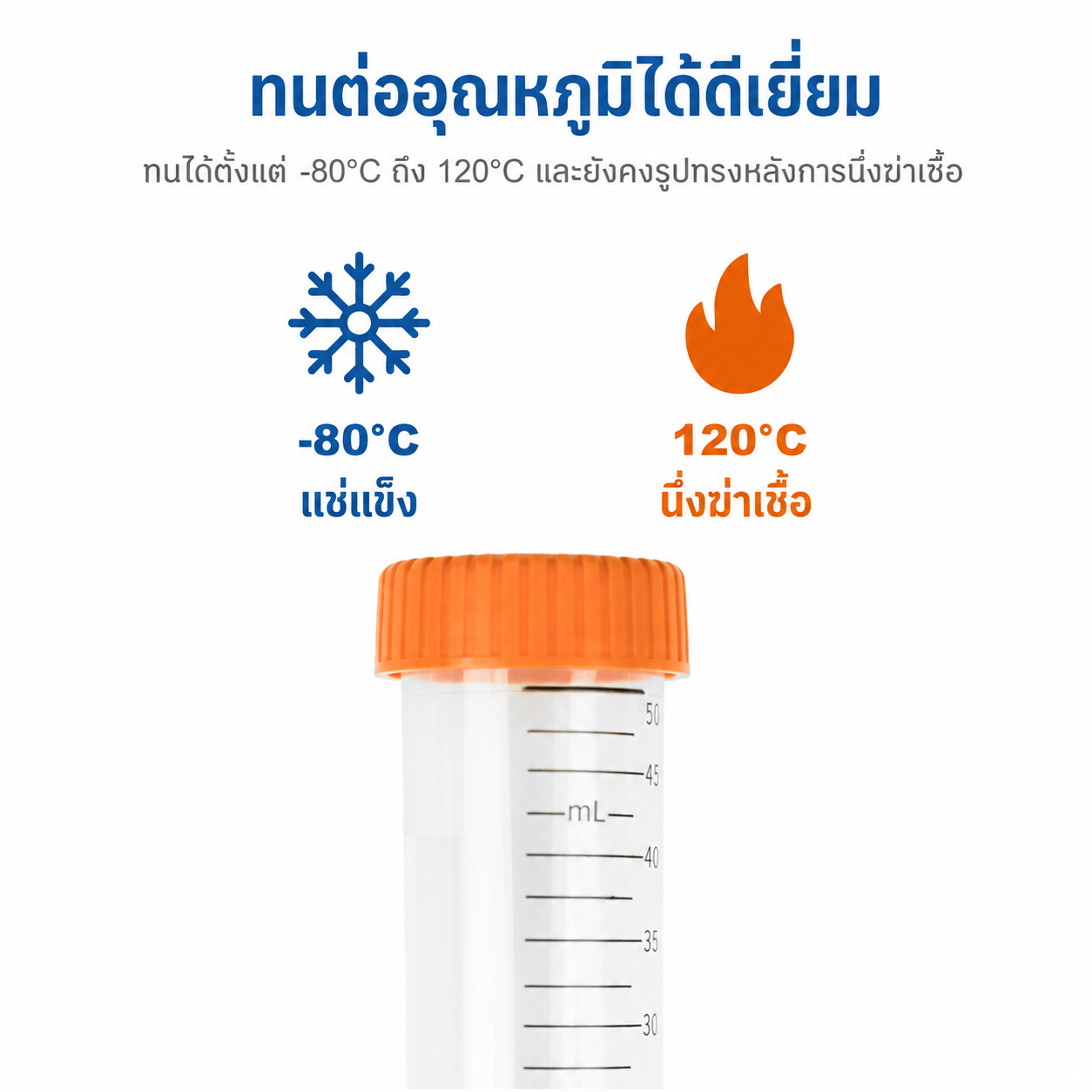 หลอดปั่นเหวี่ยงทรงกรวยปลอดเชื้อ 15 mL และ 50 mL | PP มีสเกล ปราศจาก DNase/RNase