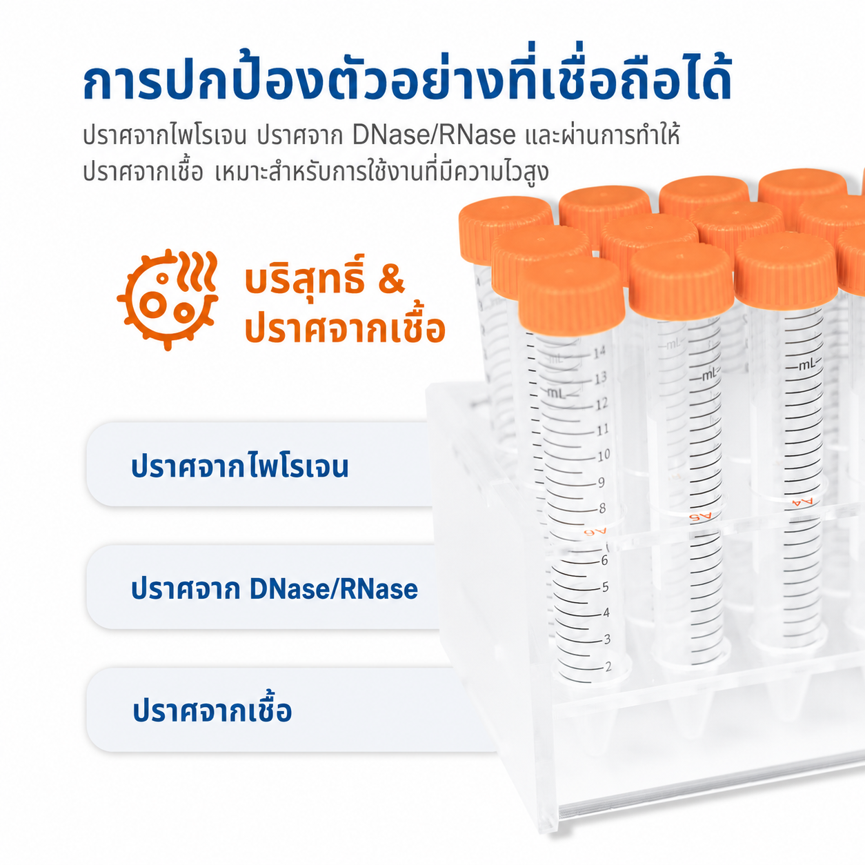 หลอดปั่นเหวี่ยงทรงกรวยปลอดเชื้อ 15 mL และ 50 mL | PP มีสเกล ปราศจาก DNase/RNase