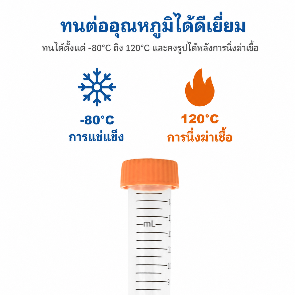 หลอดปั่นเหวี่ยงทรงกรวยปลอดเชื้อ 15 mL และ 50 mL | PP มีสเกล ปราศจาก DNase/RNase
