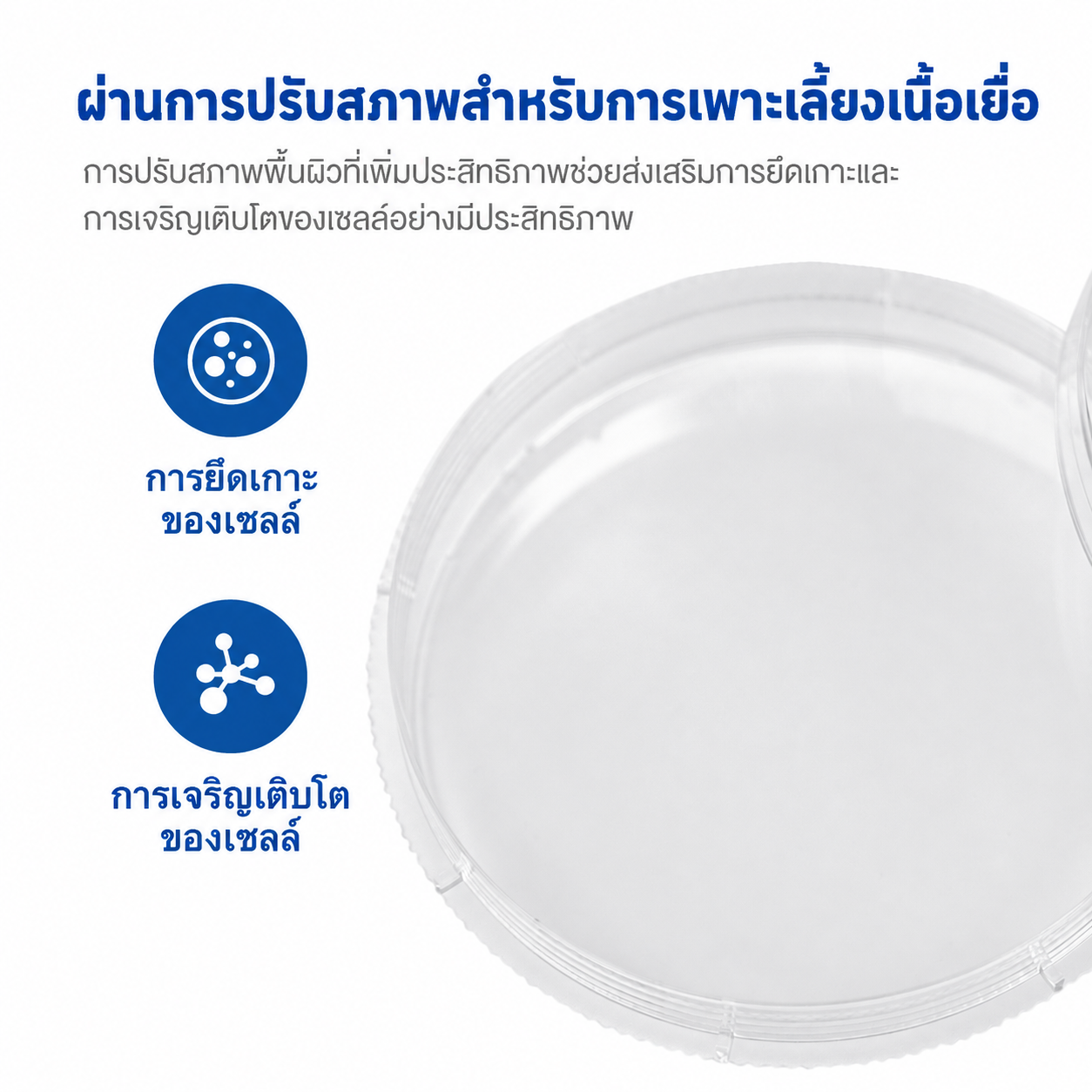 จานเพาะเลี้ยงเซลล์ปลอดเชื้อ | PS ฉายรังสีแกมมาพร้อมวงแหวนจับถนัดมือ