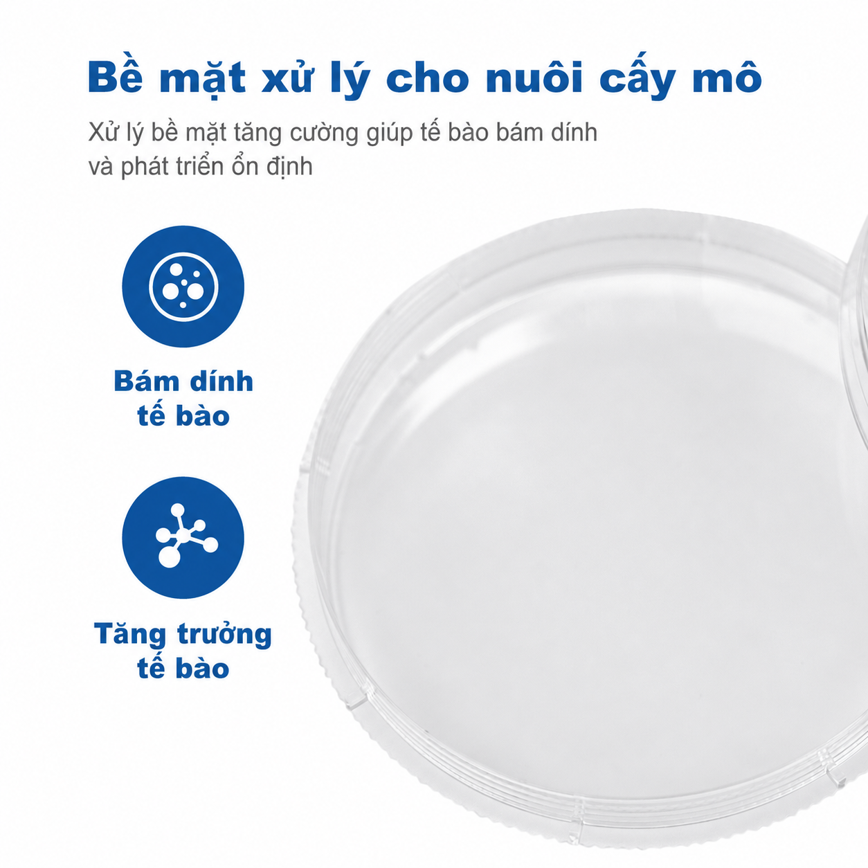 Đĩa nuôi cấy tế bào vô trùng | PS chiếu xạ gamma với vòng cầm dễ