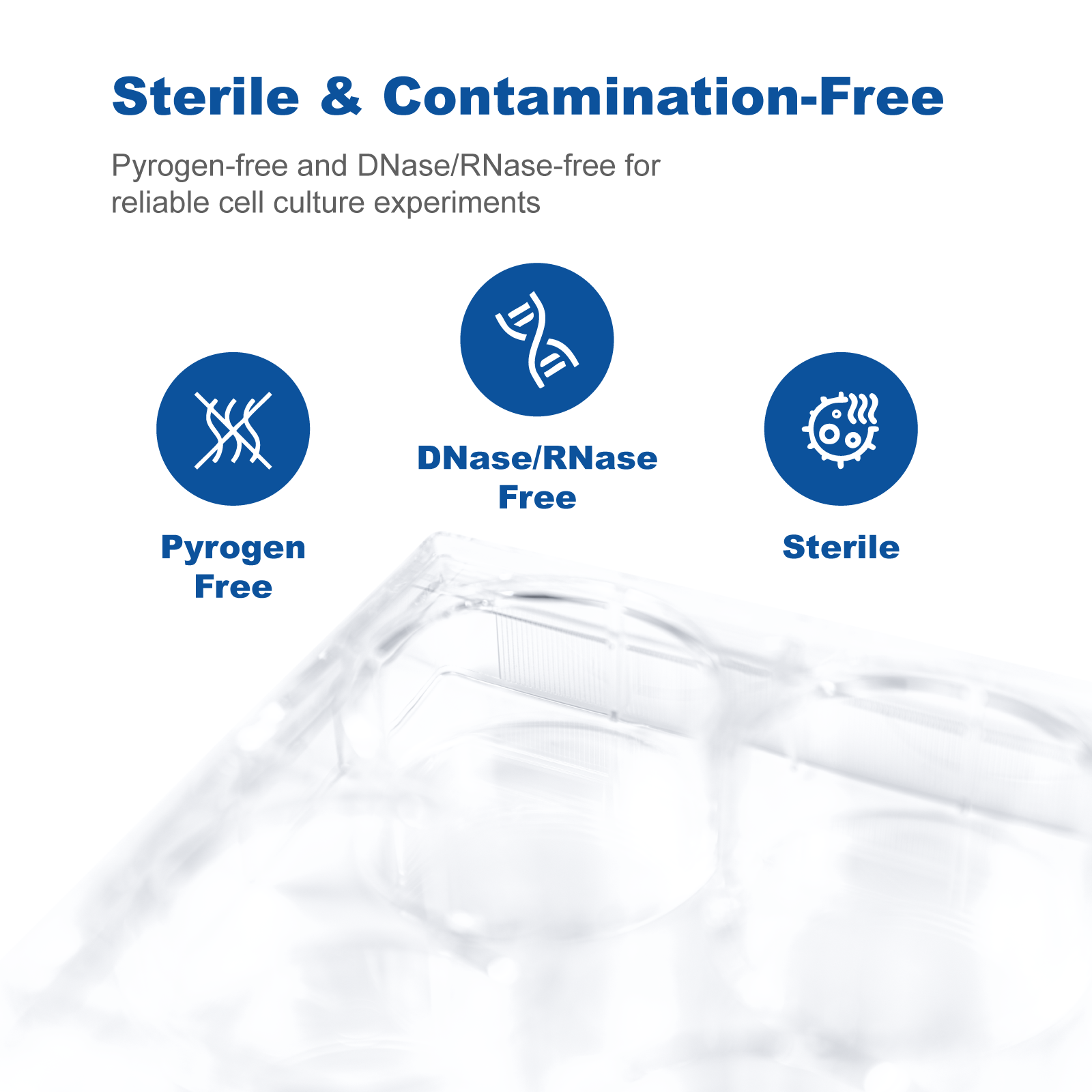 Sterile Cell Culture Plates 6&96 Well | Tissue Culture Treated Polystyrene (PS), DNase RNase Free Lab Plates for Cell Culture & Research