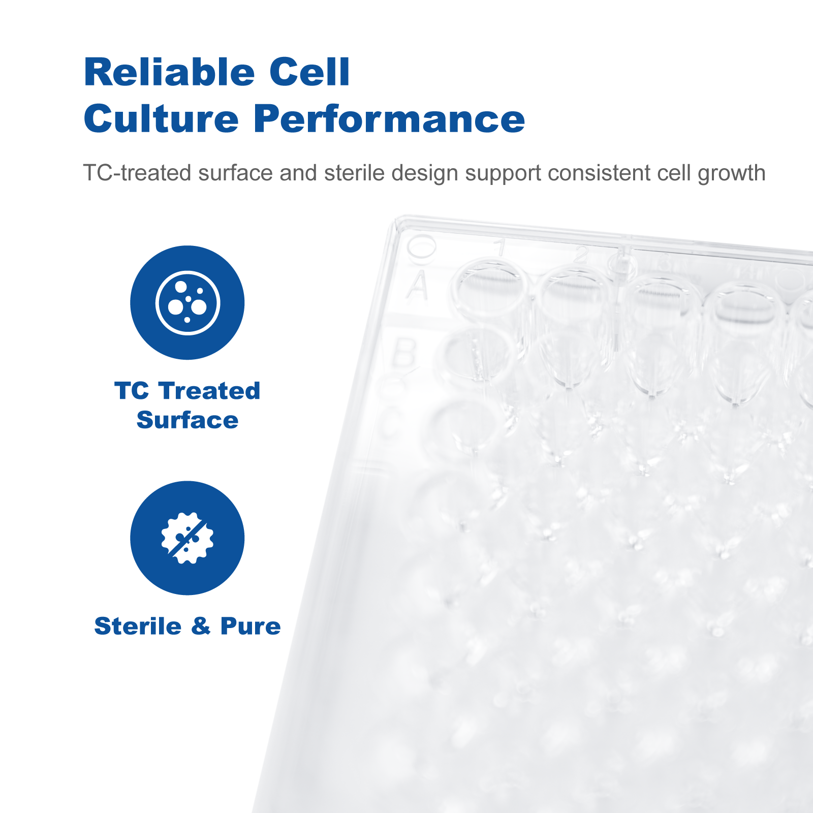 Sterile Cell Culture Plates 6&96 Well | Tissue Culture Treated Polystyrene (PS), DNase RNase Free Lab Plates for Cell Culture & Research