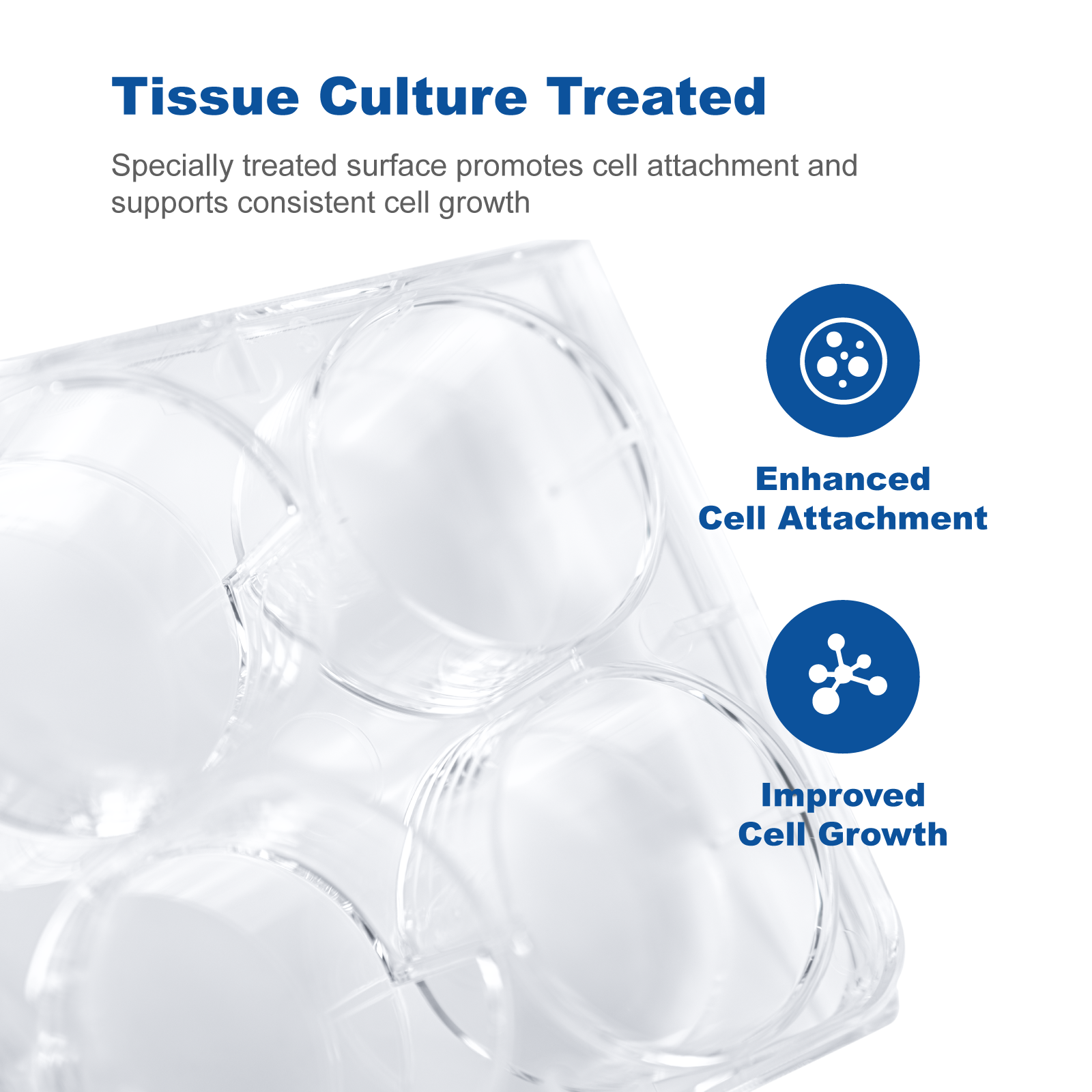 Sterile Cell Culture Plates 6&96 Well | Tissue Culture Treated Polystyrene (PS), DNase RNase Free Lab Plates for Cell Culture & Research