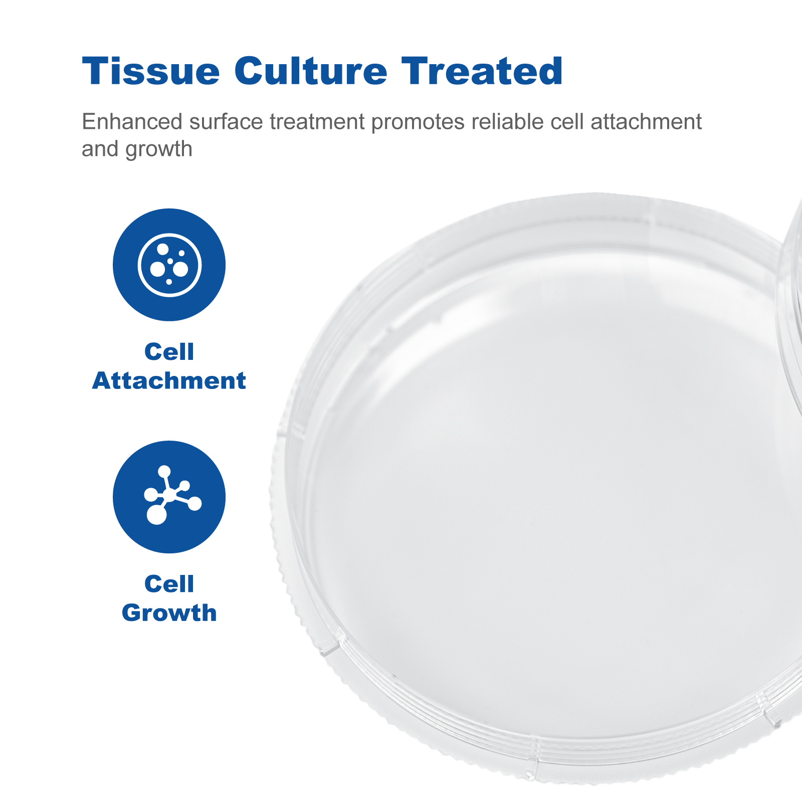 Sterile Cell Culture Dishes with Easy Grip Ring | Bag Packed Gamma Sterilized Polystyrene (PS) Petri Dishes for Laboratory Use
