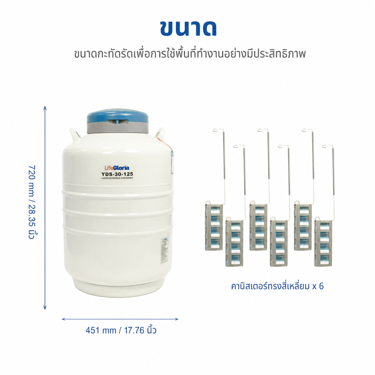 ถังดีวาร์เก็บไนโตรเจนเหลว 2–50 ลิตร | การเก็บรักษาตัวอย่างชีวภาพแบบไครโอเจนิก