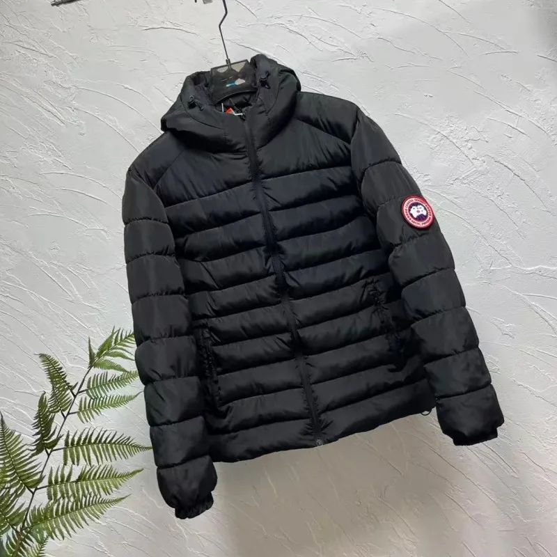 『L-4XL』大活躍 ファッション 高品質 体にフィット 着膨れしない 極暖仕様 ダウンアウター