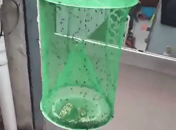 1627090592966142.gif