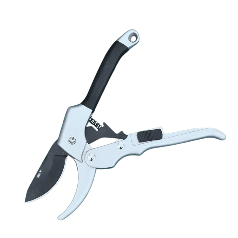 0-e221c56a12ebcac89d7012efd92a8972.png
