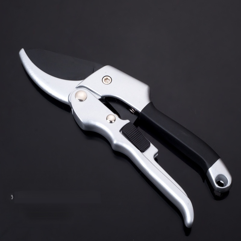 6-ae891bc75fe6b3ea27af1df748c1e0c0.png