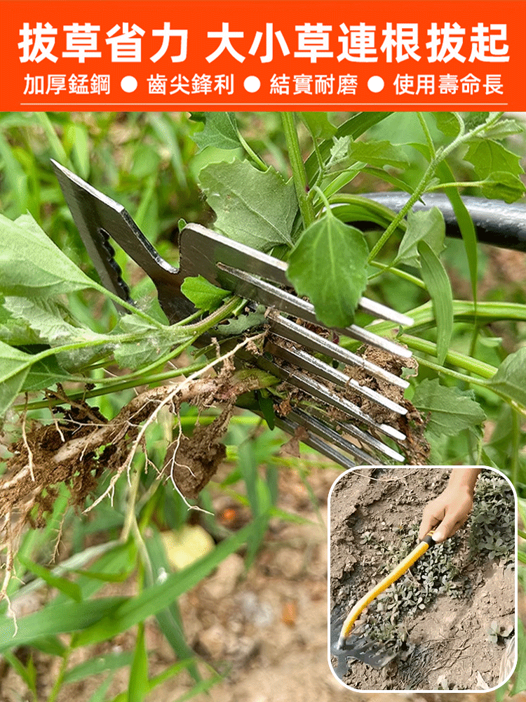 【連根拔起】錳鋼兩用除草鬆土野菜鏟