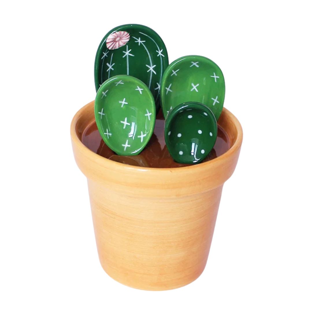Cactus Ceramic Measuring Spoon Set