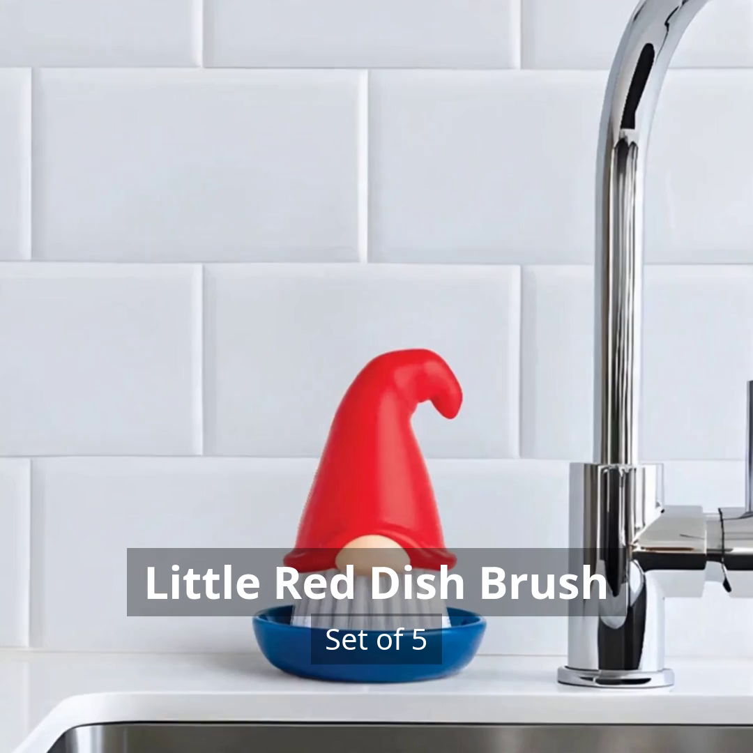Little Red Dish Brush (Set of 5) product video