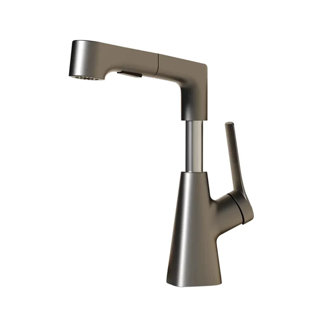 Height Adjustable Pull-Out Multi-Function Faucet