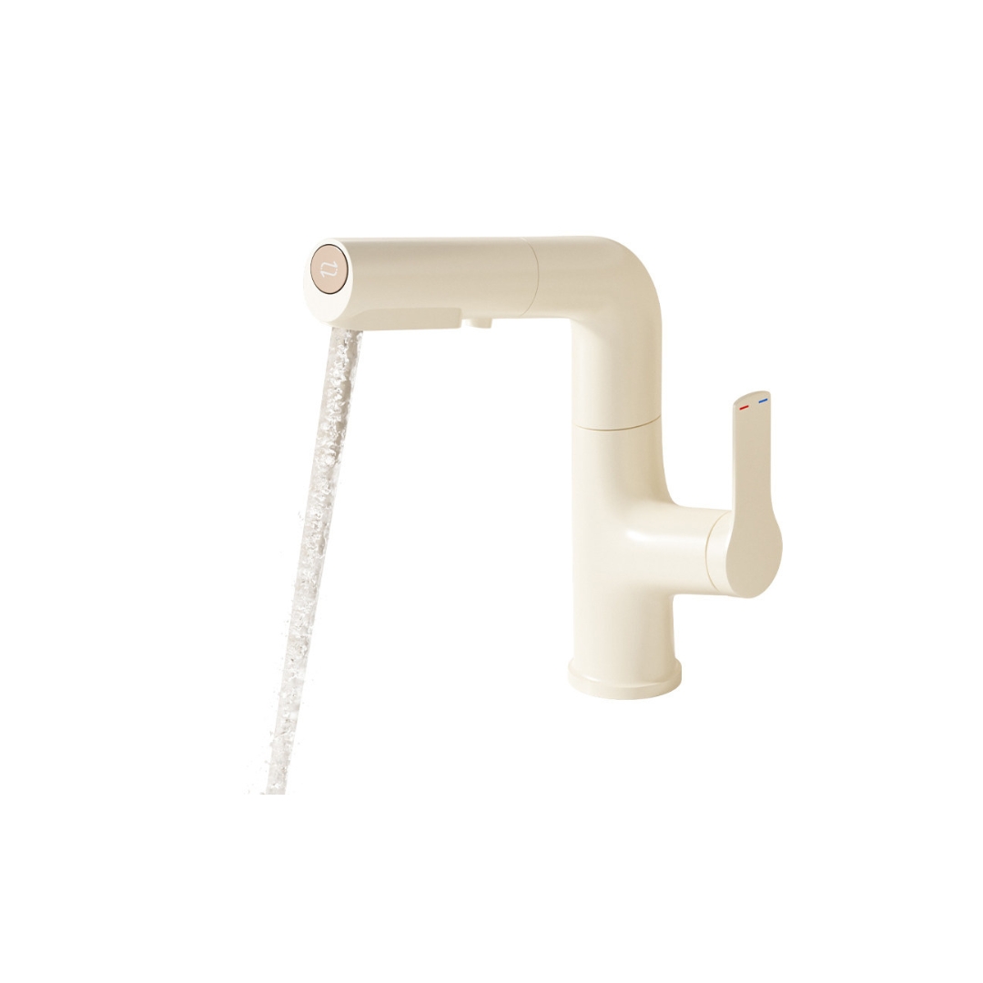 Pull-Out Rotating Basin Faucet