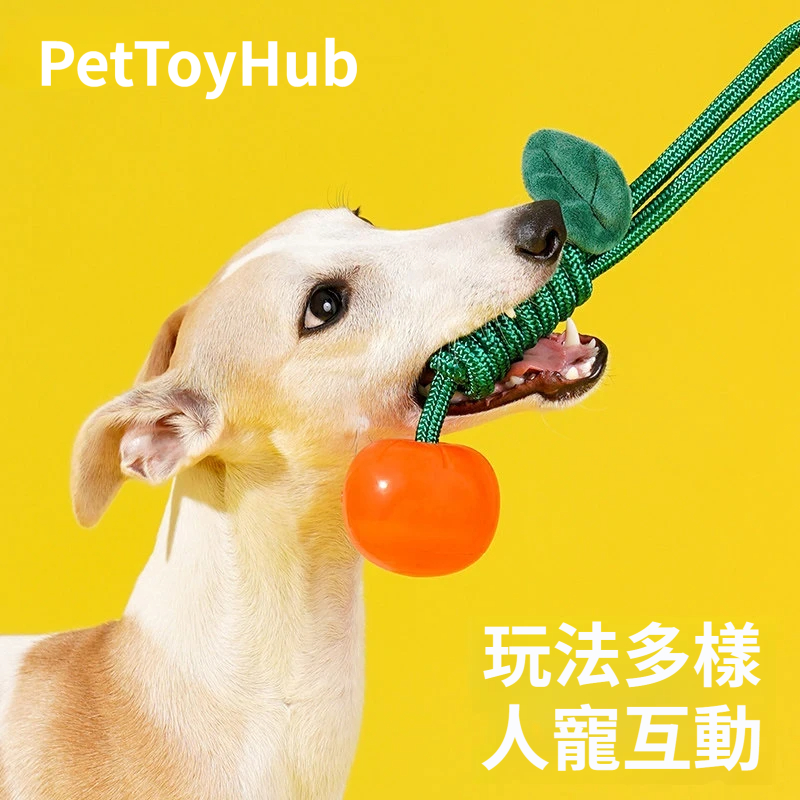 水果繩結耐咬玩具｜櫻桃＆橘子造型・磨牙潔齒・拔河互動狗狗玩具