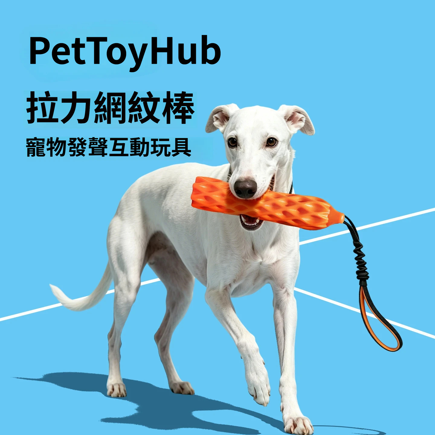 拉力網紋棒｜發聲磨牙・彈力拔河・互動耐咬狗狗玩具