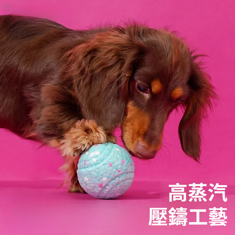 ETPU高彈耐咬狗狗玩具｜不規則彈跳・磨牙潔齒・多造型互動球
