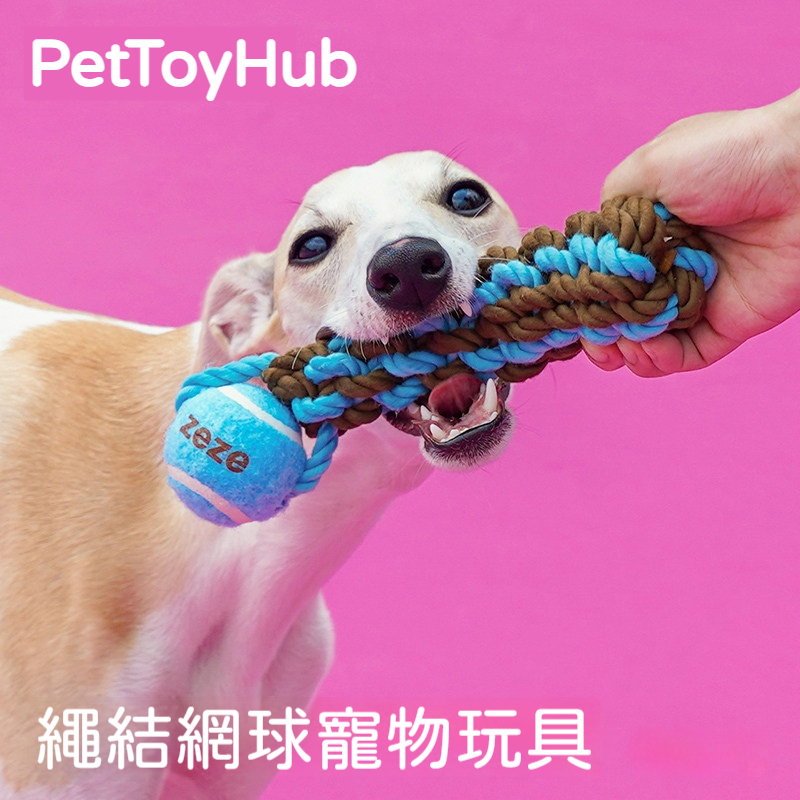 耐咬潔齒繩玩具｜狗狗磨牙拔河網球玩具｜紓壓解悶互動訓練玩具