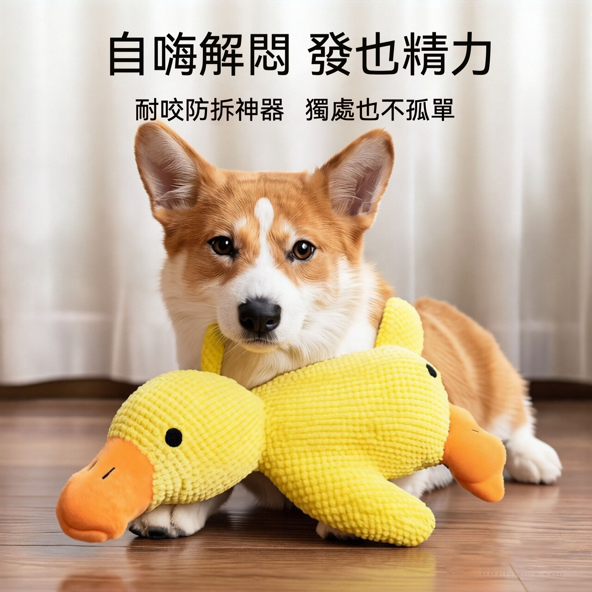 柯基專用 耐咬發聲玩具 絨毛小黃鴨 磨牙解悶