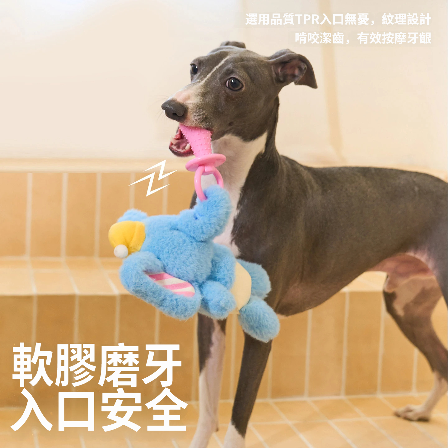 小象寶寶玩具｜短毛絨陪伴玩偶＋TPR磨牙奶嘴・響紙發聲互動狗玩具