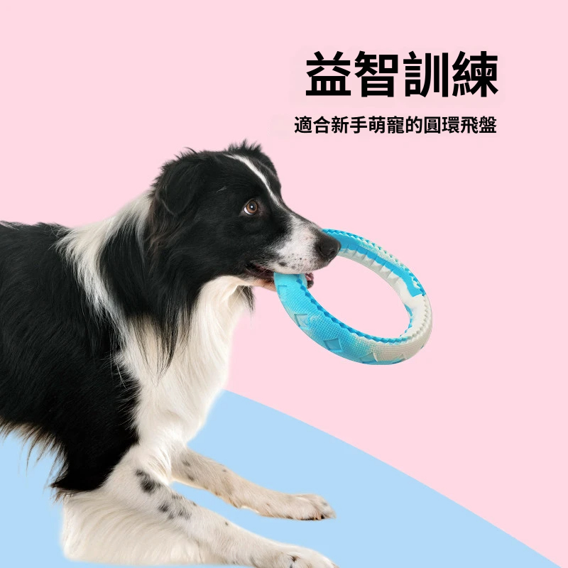 多彩圓環飛盤｜狗狗互動丟接玩具・立體紋理好咬好拿・戶外放電必備
