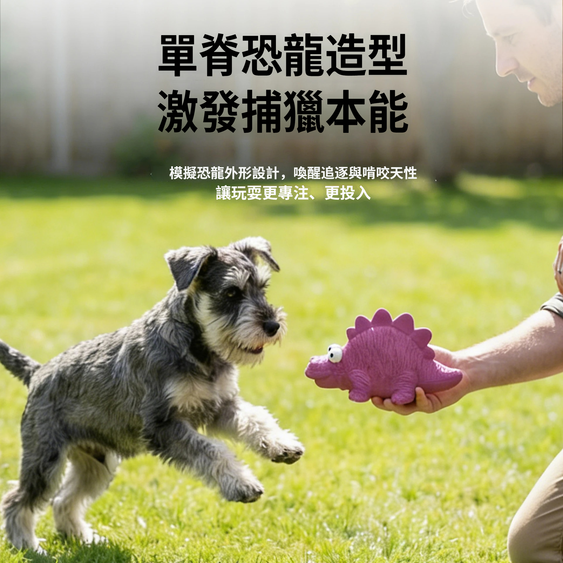恐龍乳膠玩具｜啾啾發聲・立體紋理・陪玩磨牙