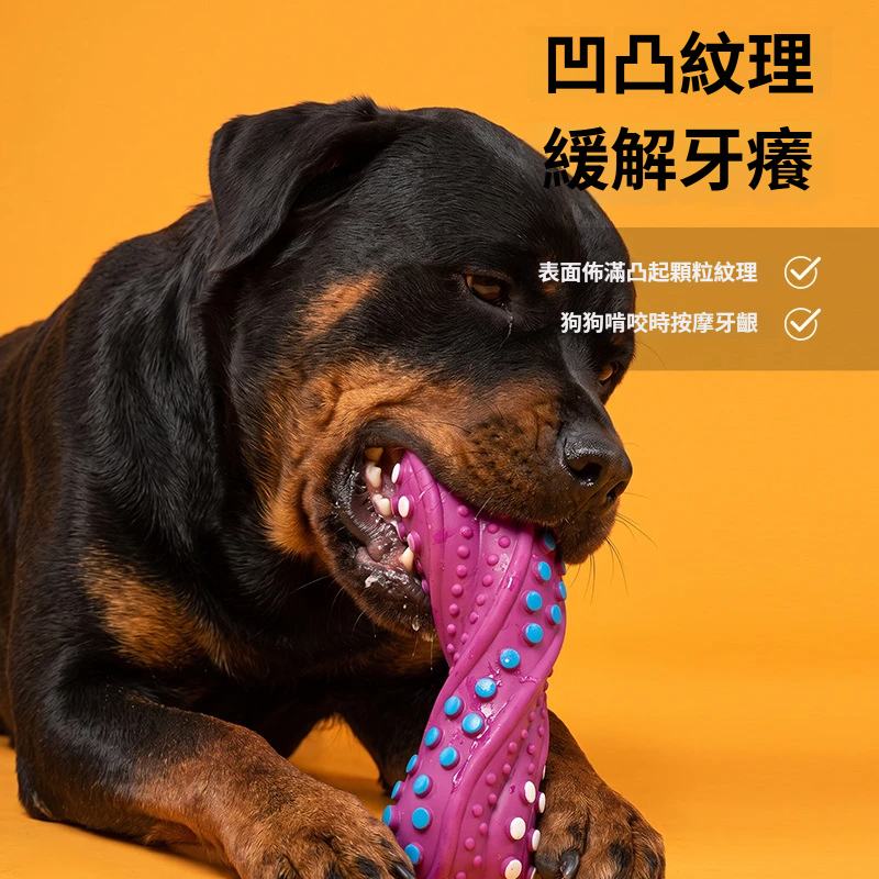 磨牙耐咬骨頭｜凹凸潔齒・按壓發聲狗狗玩具