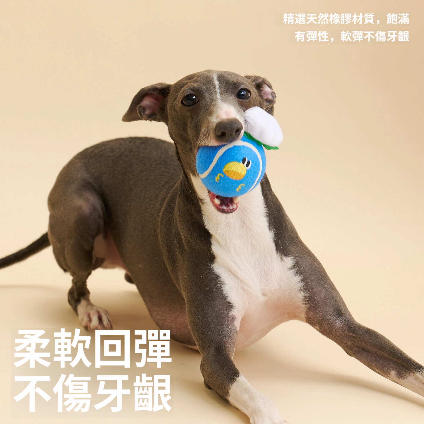 布魯佐羅網球｜狗狗發聲彈力玩具｜柔軟回彈・內建發聲・互動拋接玩具