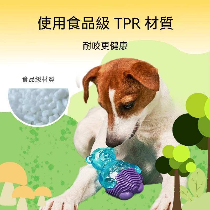 Q萌系列狗狗發聲磨牙玩具｜食品級TPR材質・潔齒按摩・互動耐咬玩具