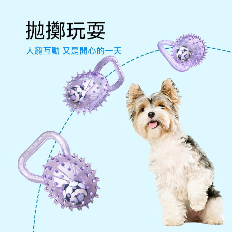 提手刺球磨牙玩具｜狗狗發聲互動球｜潔齒耐咬拋接玩具