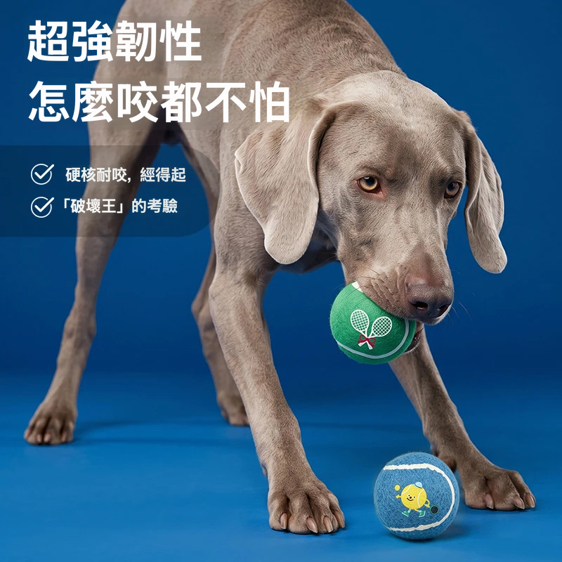 笑臉網球玩具｜耐咬彈力互動球・多款造型可選