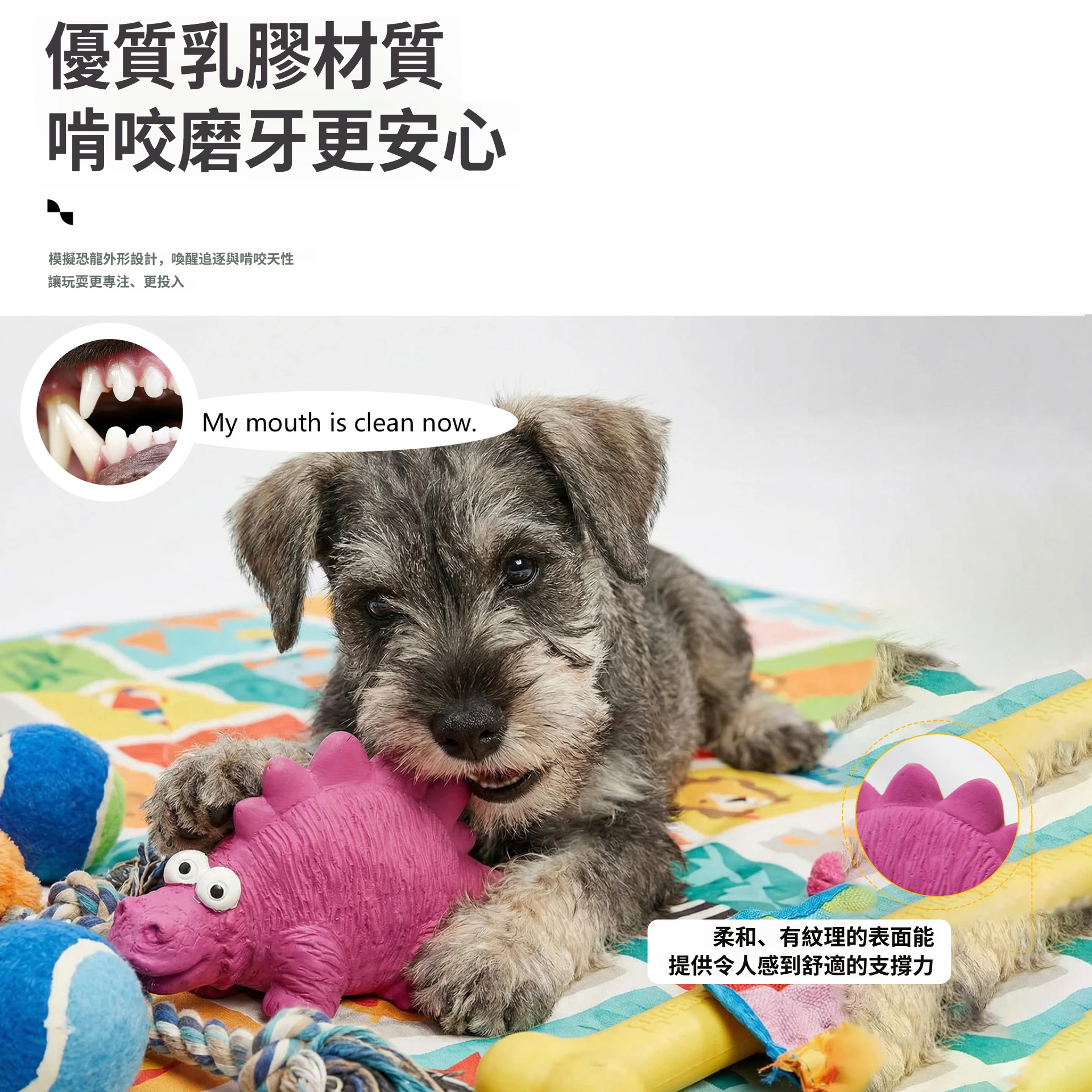 恐龍乳膠玩具｜啾啾發聲・立體紋理・陪玩磨牙