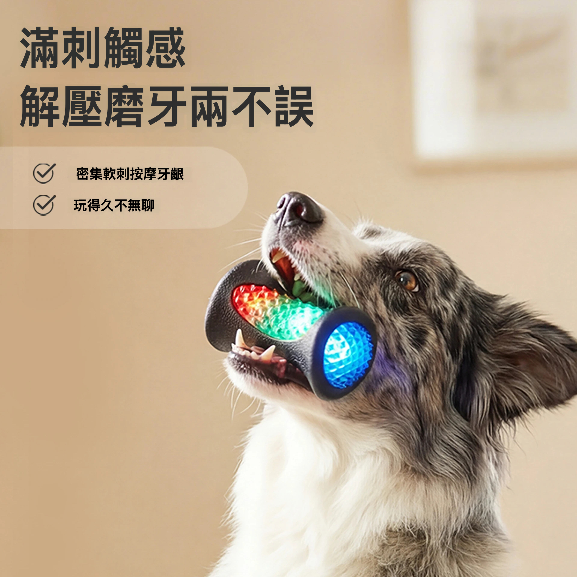 閃光磨牙玩具球｜四色立體凸點・TPR彈力耐咬・潔牙互動玩具