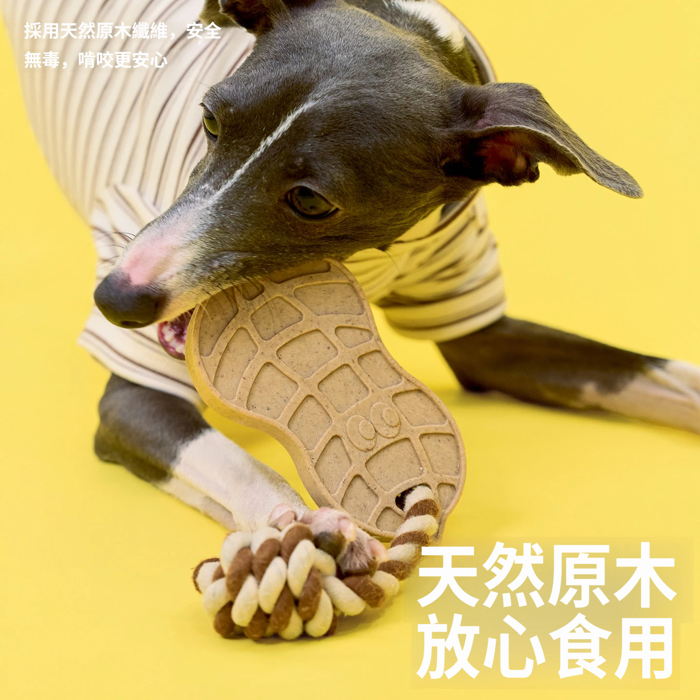 花生繩結潔齒玩具｜磨牙潔齒 × 拉扯互動 × 耐咬解悶 狗狗日常玩具