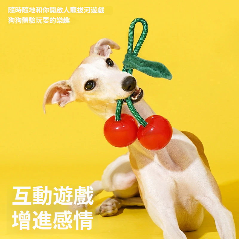 水果繩結耐咬玩具｜櫻桃＆橘子造型・磨牙潔齒・拔河互動狗狗玩具