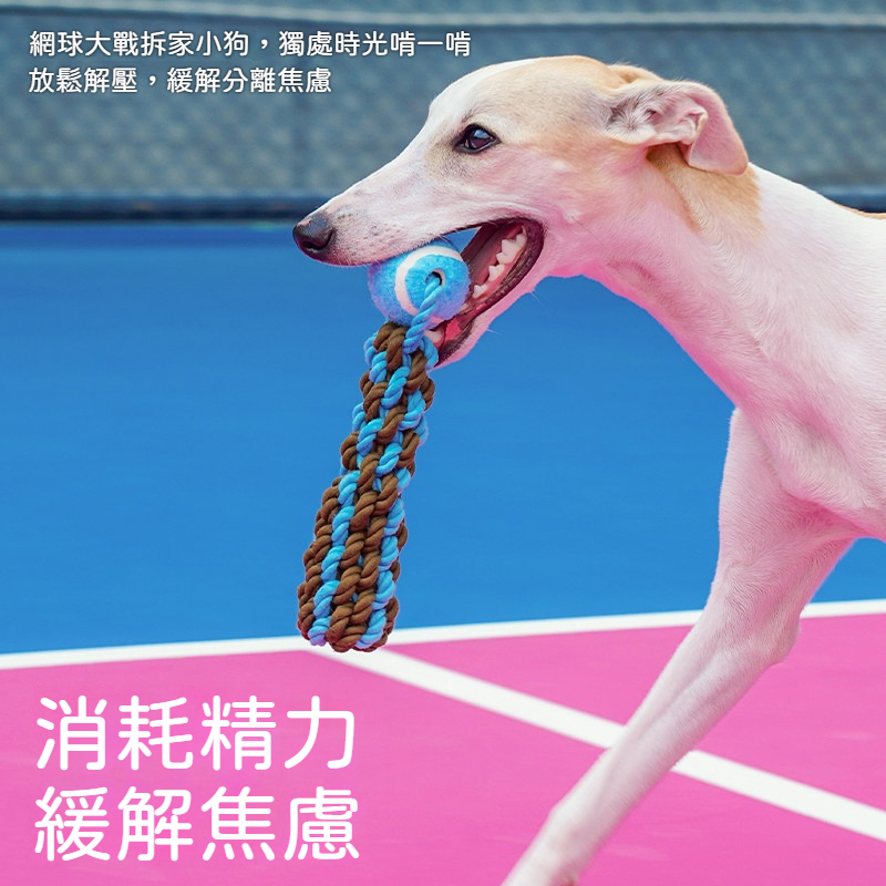 耐咬潔齒繩玩具｜狗狗磨牙拔河網球玩具｜紓壓解悶互動訓練玩具