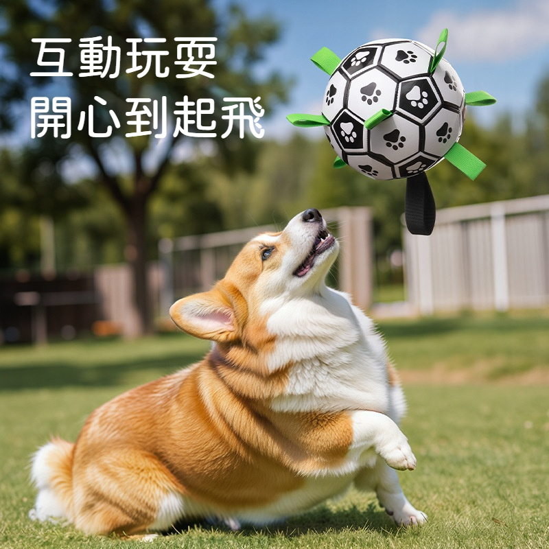 寵物巡迴互動足球玩具｜TPU耐磨防水・拉扯咬繩・狗狗戶外拋接球