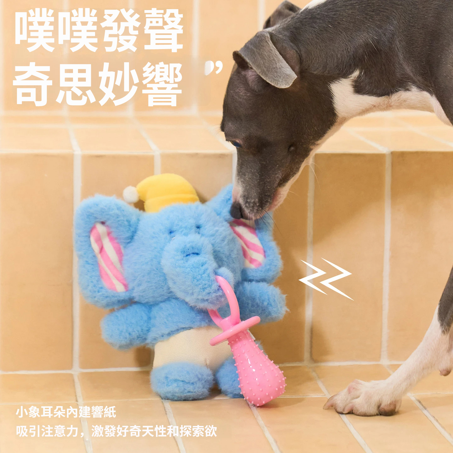 小象寶寶玩具｜短毛絨陪伴玩偶＋TPR磨牙奶嘴・響紙發聲互動狗玩具