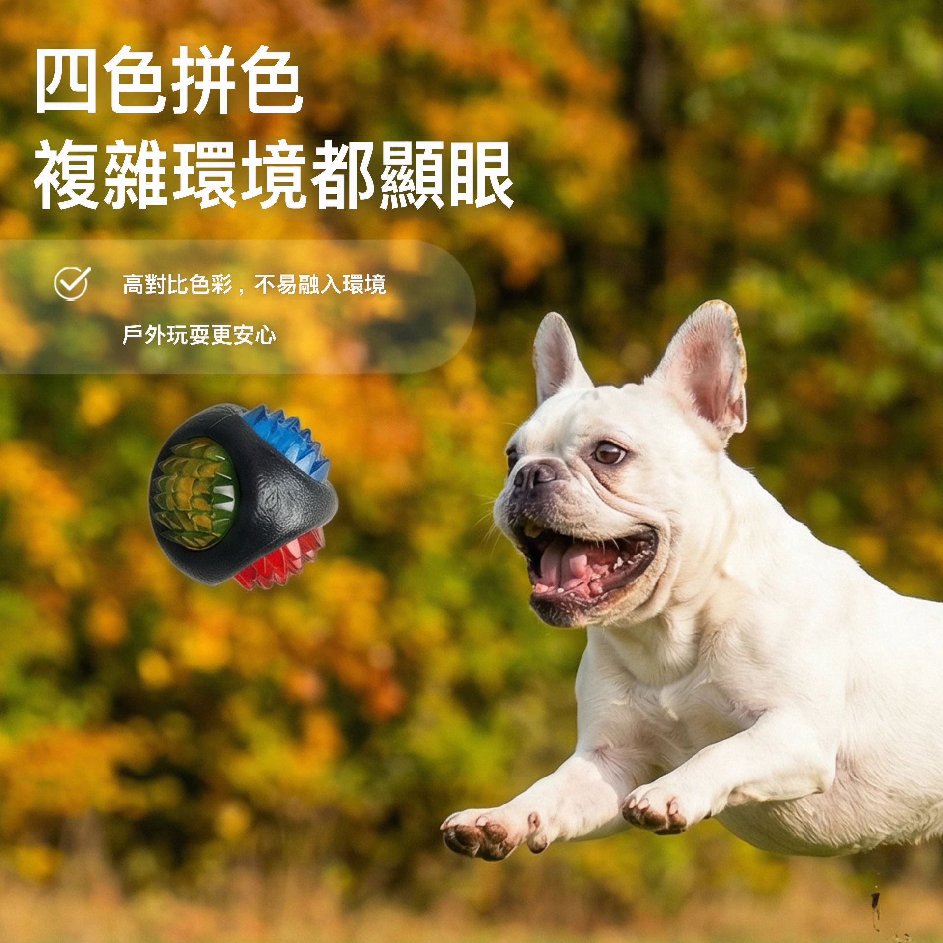 閃光磨牙玩具球｜四色立體凸點・TPR彈力耐咬・潔牙互動玩具