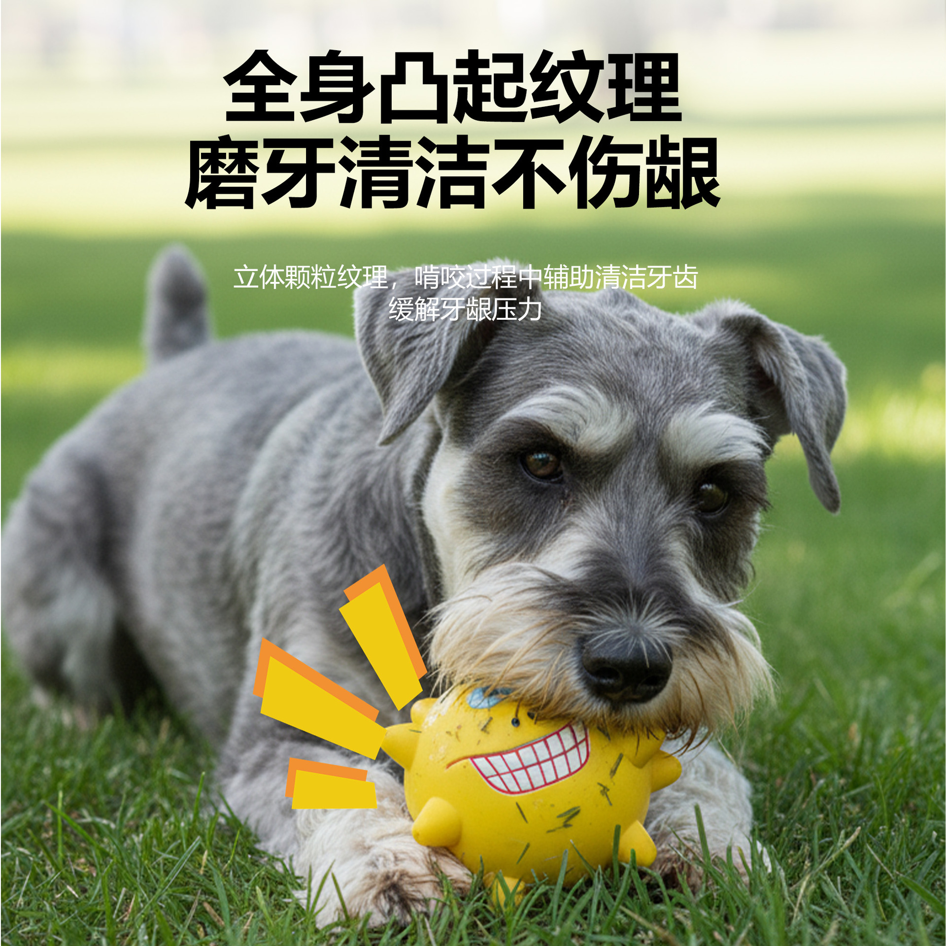 笑臉乳膠球｜趣味造型・啃咬磨牙・互動玩耍