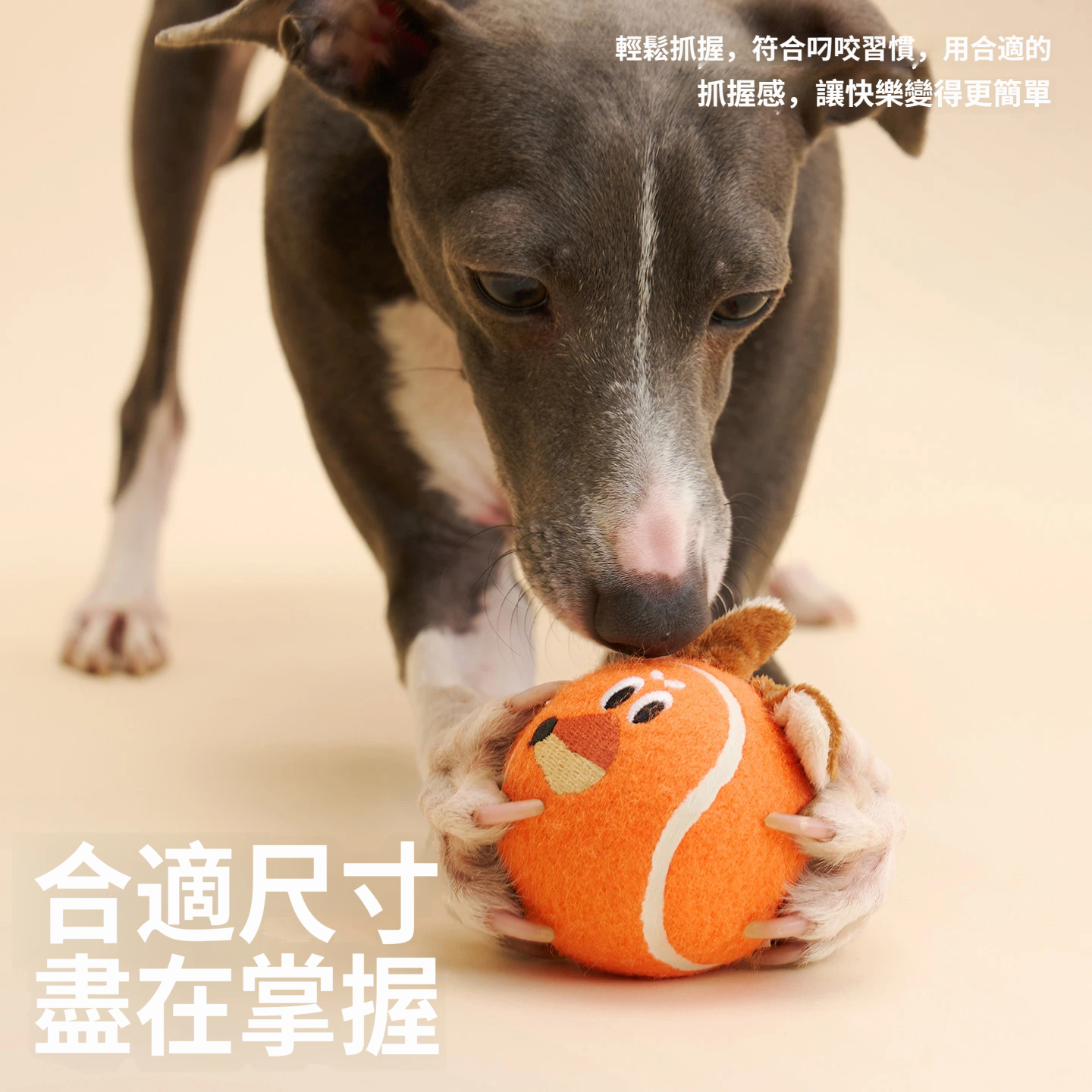 布魯佐羅網球｜狗狗發聲彈力玩具｜柔軟回彈・內建發聲・互動拋接玩具