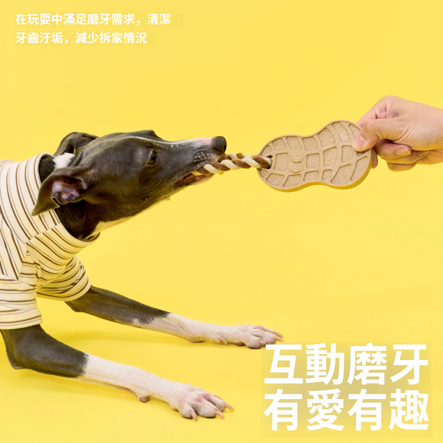 花生繩結潔齒玩具｜磨牙潔齒 × 拉扯互動 × 耐咬解悶 狗狗日常玩具
