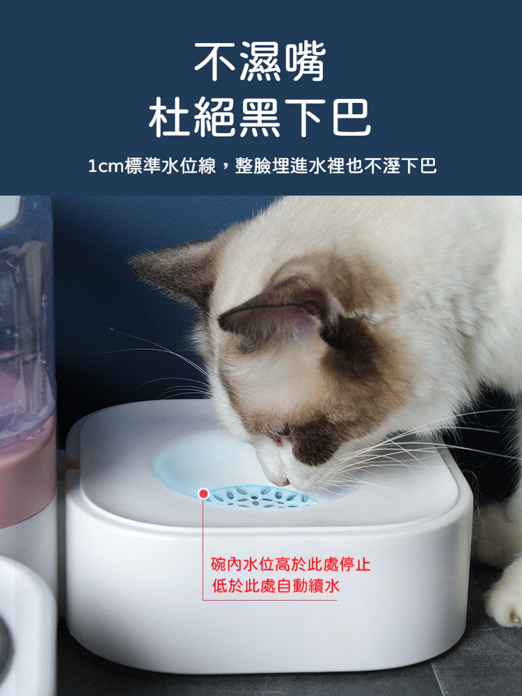 寵物自動喂水器｜貓狗通用循環飲水機＋304不鏽鋼食碗｜防濺水不濕嘴飲水碗